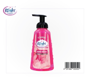 Foaming-Hand-Wash-2023-pink