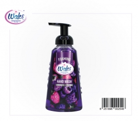 Foaming-Hand-Wash-2023-purple
